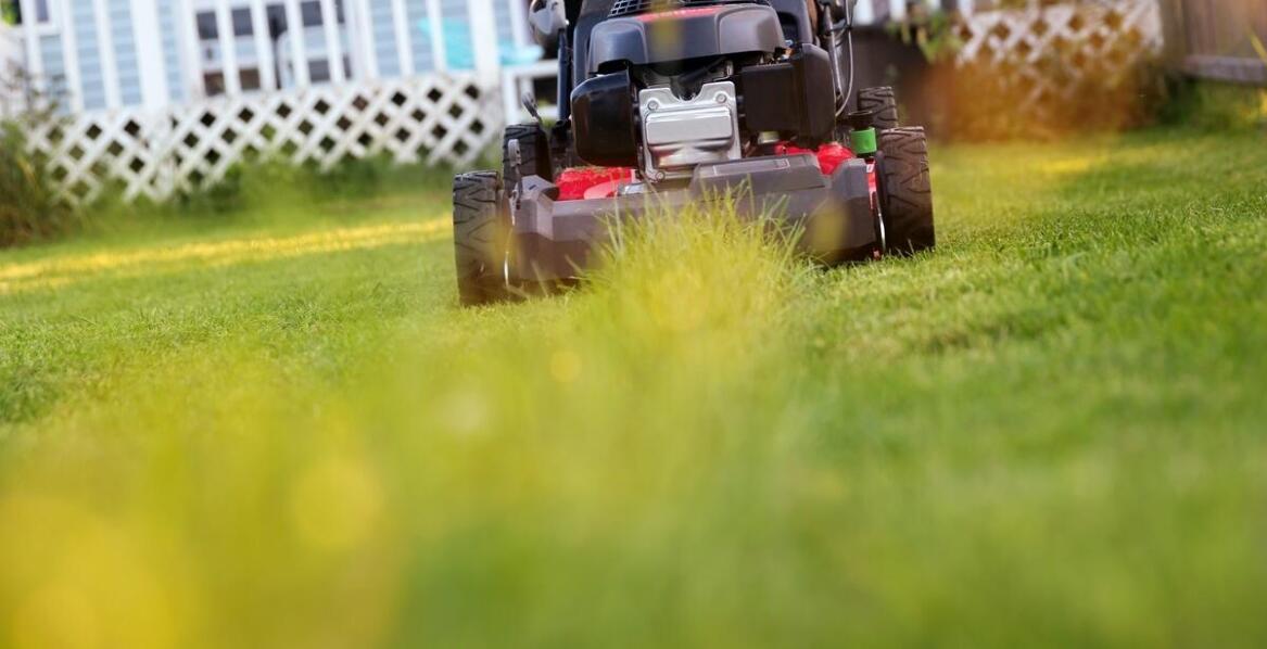 Wpływ jakości elektrycznych kosiarek na kondycję trawnika
