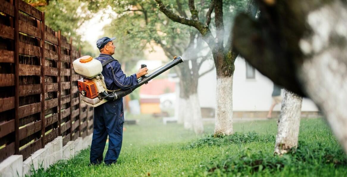 Porównanie tradycyjnych i nowoczesnych metod eliminacji owadów czarnych