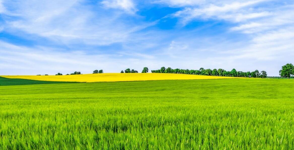 Jakie są najczęstsze pytania dotyczące zakupu rolnych działek w Poznaniu?