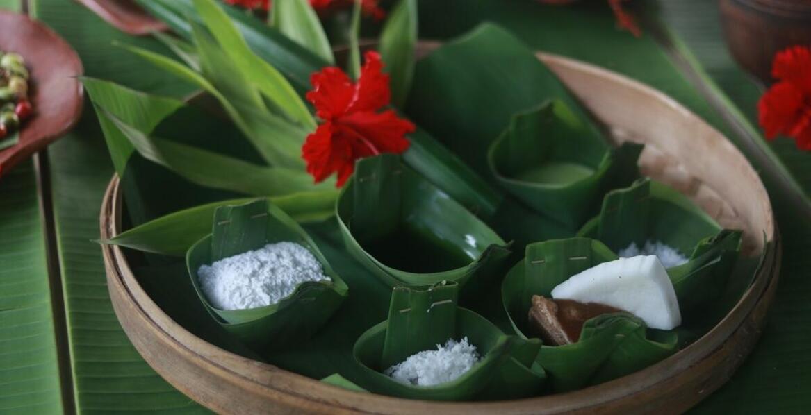 Jak nasiona Orion Seeds mogą wspierać alternatywne metody leczenia?