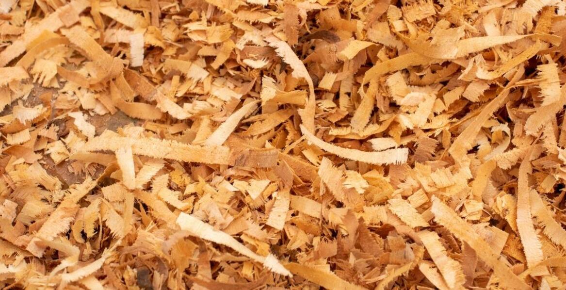 Jakie są najczęstsze błędy przy wyborze rębaków do drewna?