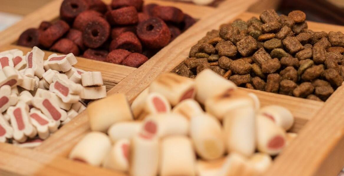 Jak właściwie przechowywać szampon dla psa na pchły, aby zachować jego skuteczność?