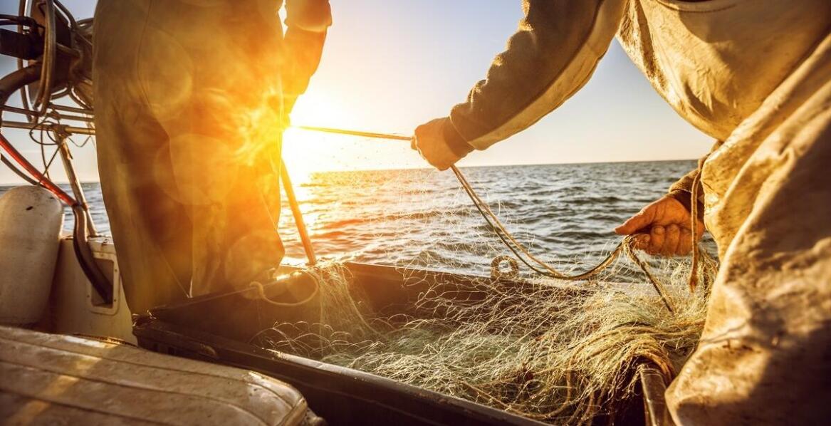 Pułapkowe sieci jako skuteczna metoda połowu węgorzy