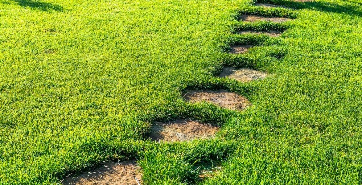 Trawa rolowana jako rozwiązanie dla trudnych warunków glebowych