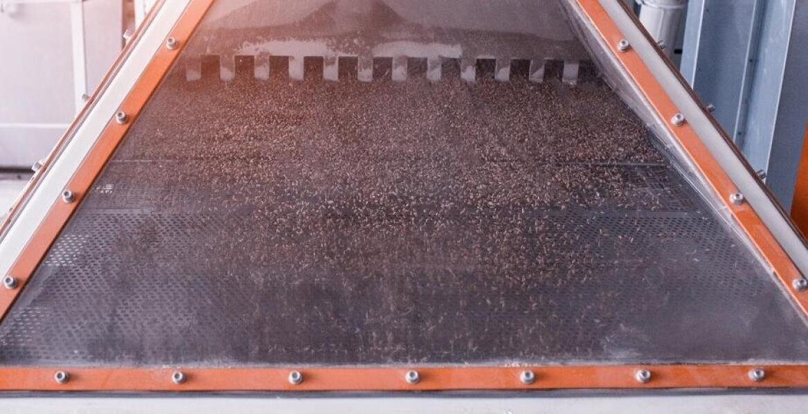 Innowacyjne funkcje czyszczalni do nasion: zewnętrzne sterowanie i przesiewacze