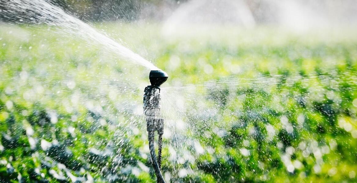 Automatyczne systemy nawadniania a oszczędność zasobów i czasu