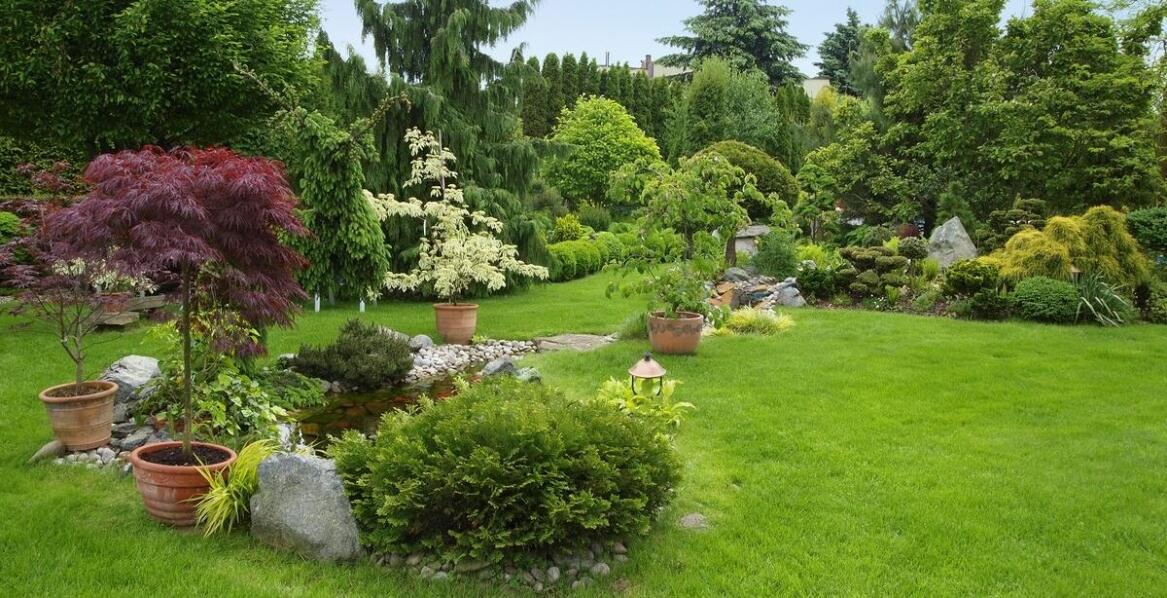 Krzewy ozdobne do ogrodu – jakie gatunki są najbardziej odporne na zmienne warunki pogodowe?