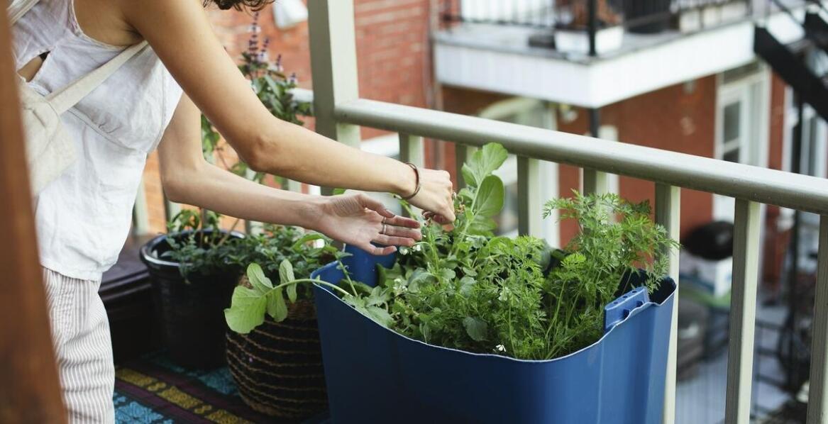 Jak montować 60-centymetrowe skrzynki balkonowe na balustradzie?