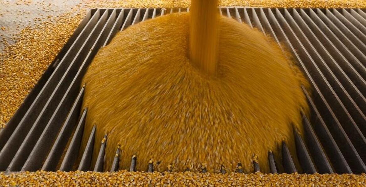 Kluczowe czynniki wpływające na decyzję o zakupie suszarni do kukurydzy