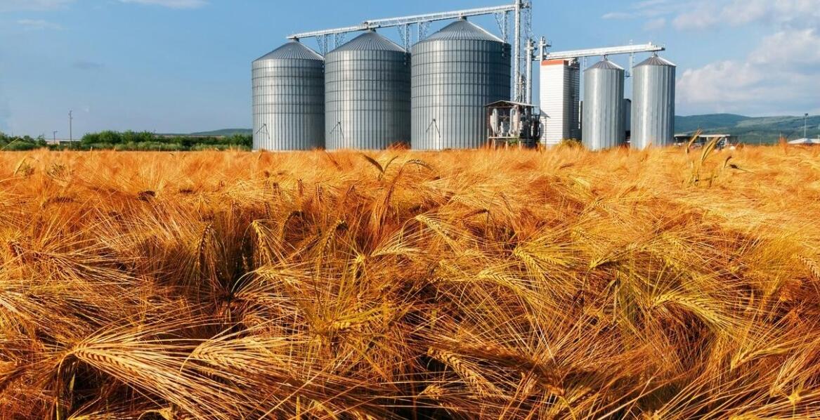 Rola precyzyjnego odbioru w optymalizacji łańcucha dostaw zbóż