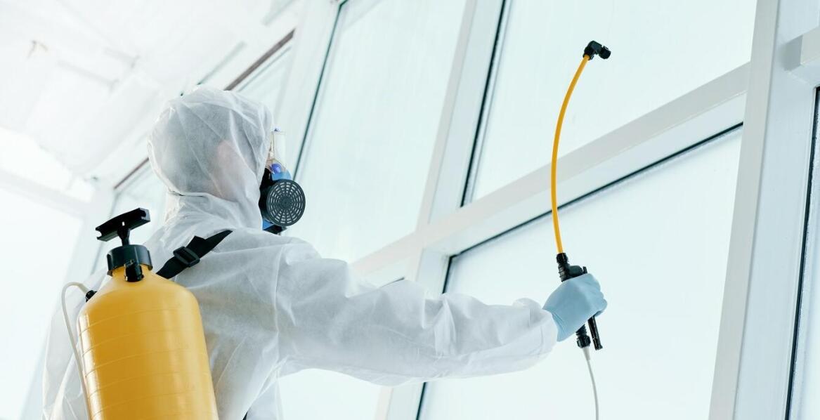 Jak deratyzacja wpływa na sanitarne bezpieczeństwo w firmach?