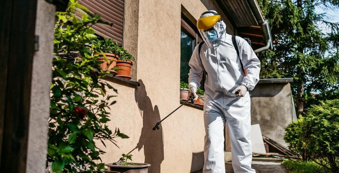 Deratyzacja a ochrona zdrowia publicznego – znaczenie dla mieszkańców w miastach