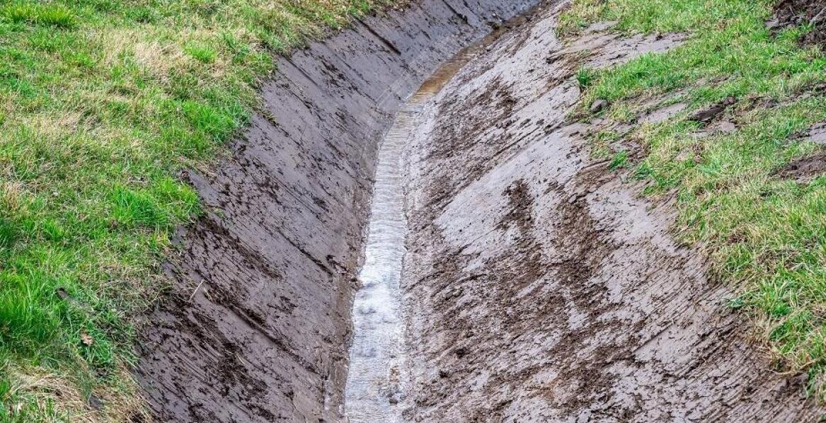 Jak oczyszczanie melioracyjnych rowów wpływa na ochronę środowiska?