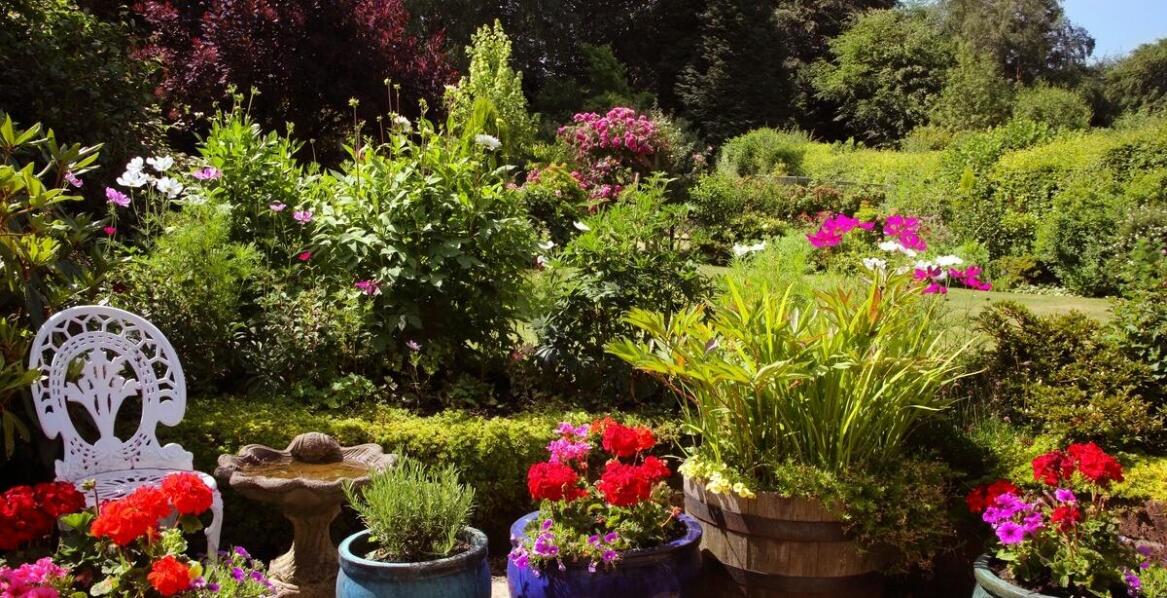 Wieloletnie ozdobne krzewy jako element przyciągający owady zapylające