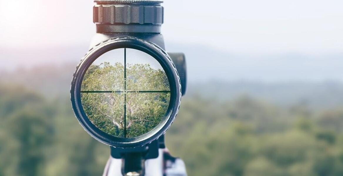 Jakie celownicze przyrządy wybrać w sklepie myśliwskim?
