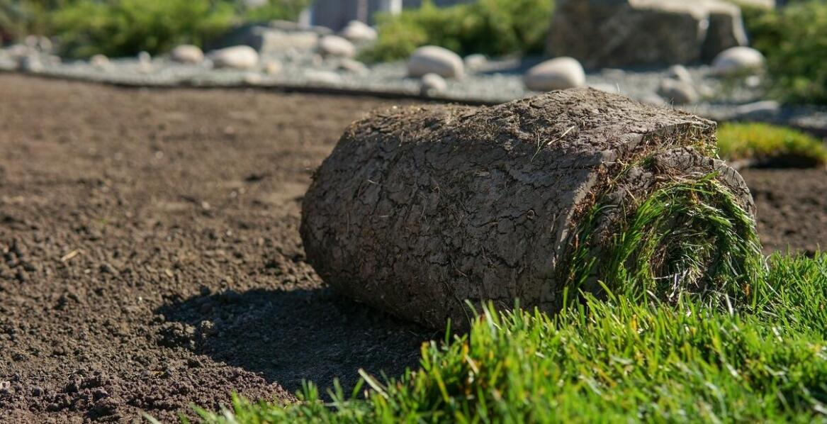 Trawa z rolki a jej rola w ochronie przed erozją gleby
