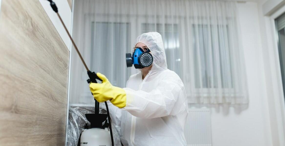 Dlaczego warto zainwestować w regularną deratyzację?