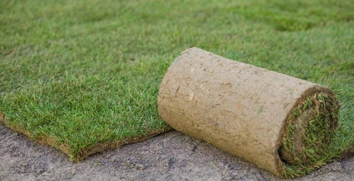 Trawa z rolki - co warto wiedzieć przed jej zakupem i montażu?
