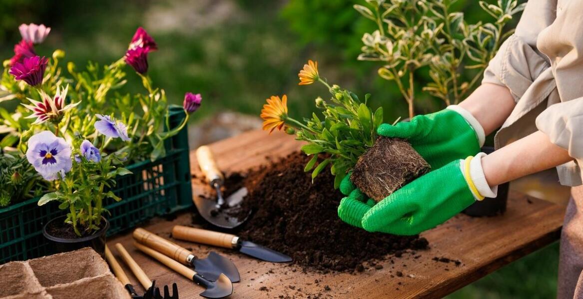 Przewodnik po wyborze dostępnych ogrodniczych narzędzi w naszej ofercie