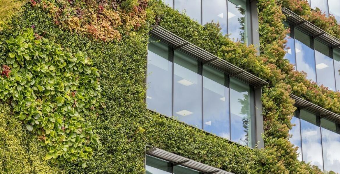 Projektowanie przemysłowych hal z uwzględnieniem zasad ekologii