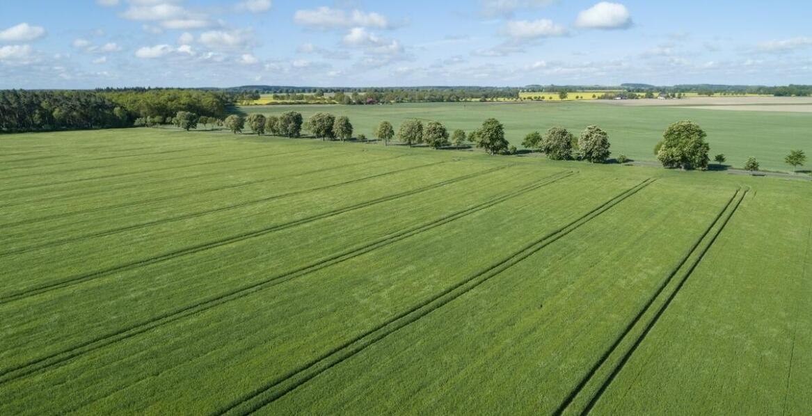 Jakie korzyści przynosi profesjonalna wycena rolnych gruntów?