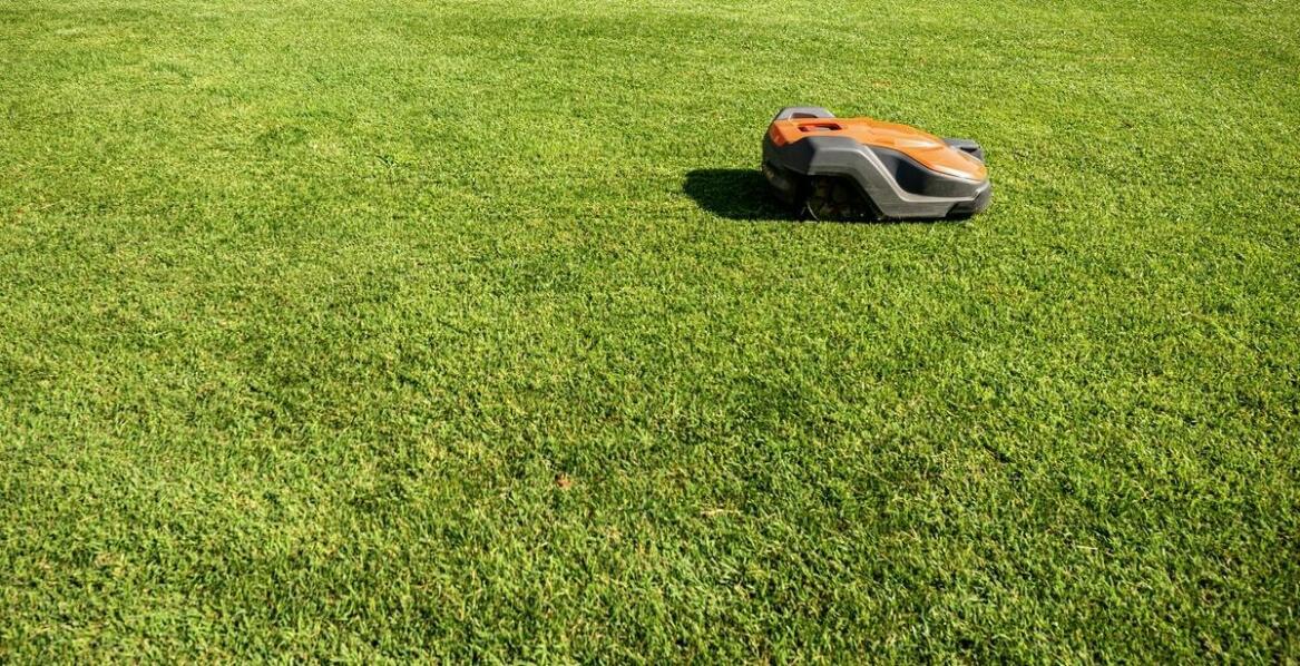 Wybór samojezdnej kosiarki: kluczowe techniczne aspekty