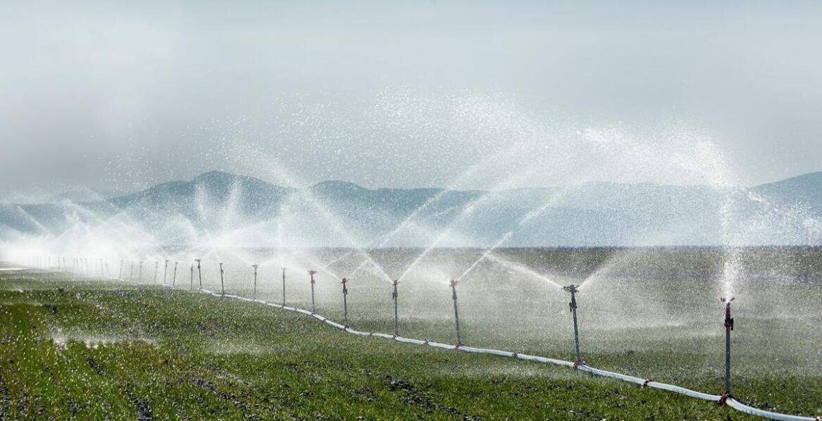 Innowacyjne rozwiązania w systemach profesjonalnego nawadniania – co warto wiedzieć?