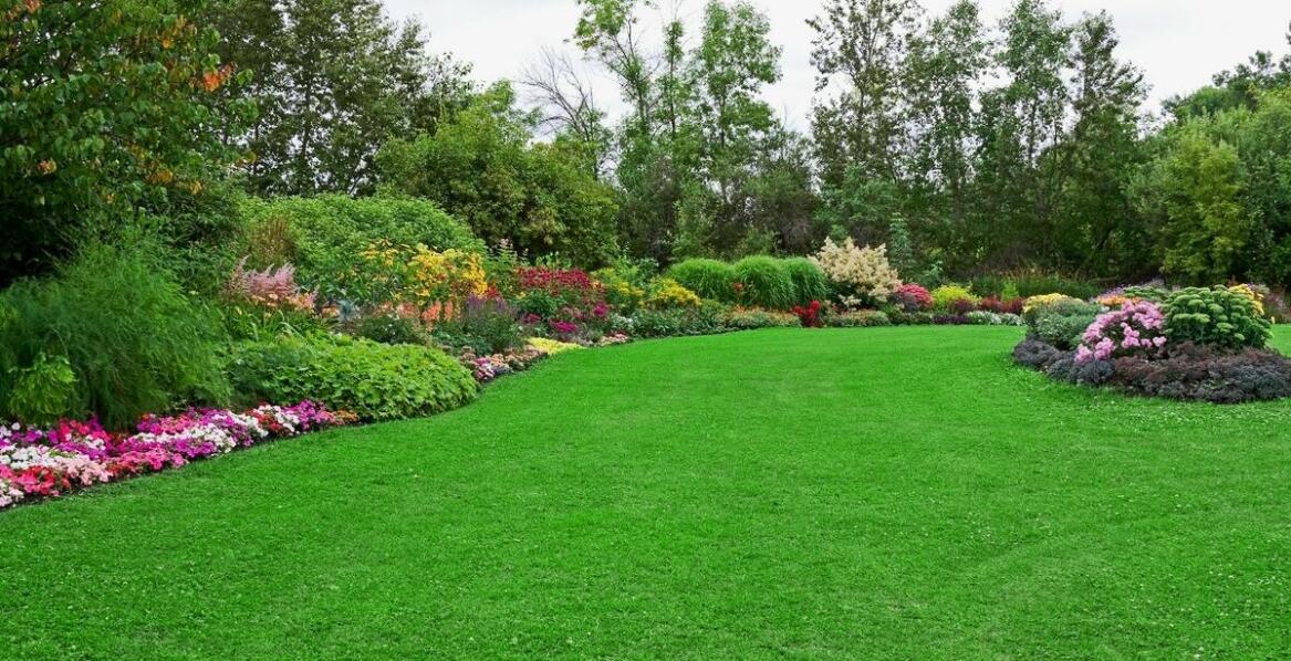 Jak rekultywacja trawników wspiera rozwój rekreacyjnych przestrzeni?