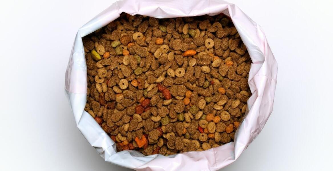 Poradnik: jak wprowadzać starter dla szczeniaka do diety dla pupila?