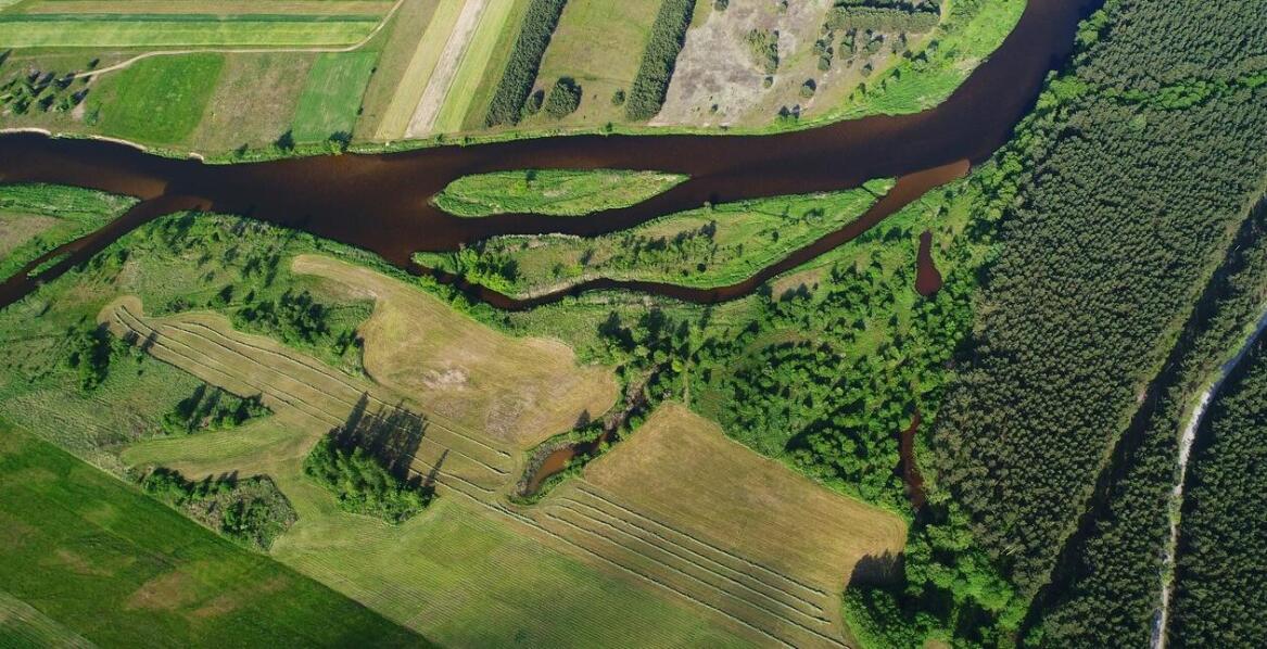 Jakie zasady obowiązują podczas archeologicznych badań na terenach rolniczych?