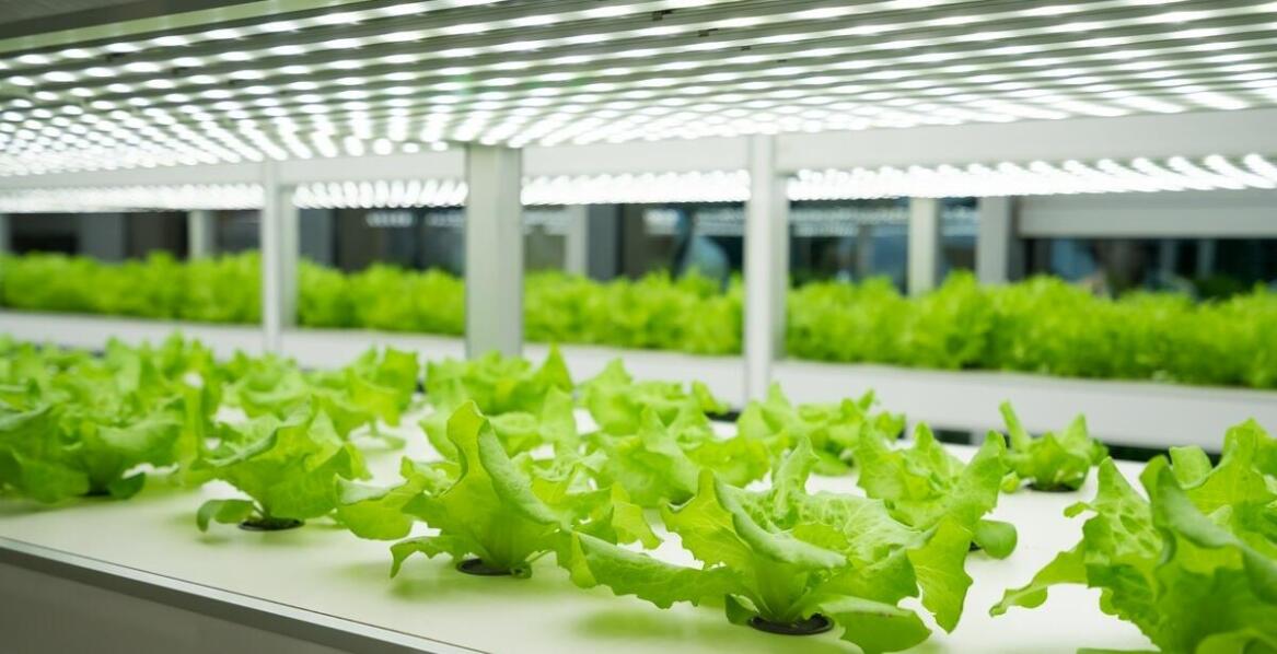 Innowacyjne rozwiązania w systemach Hydro-Park – co nowego na rynku?