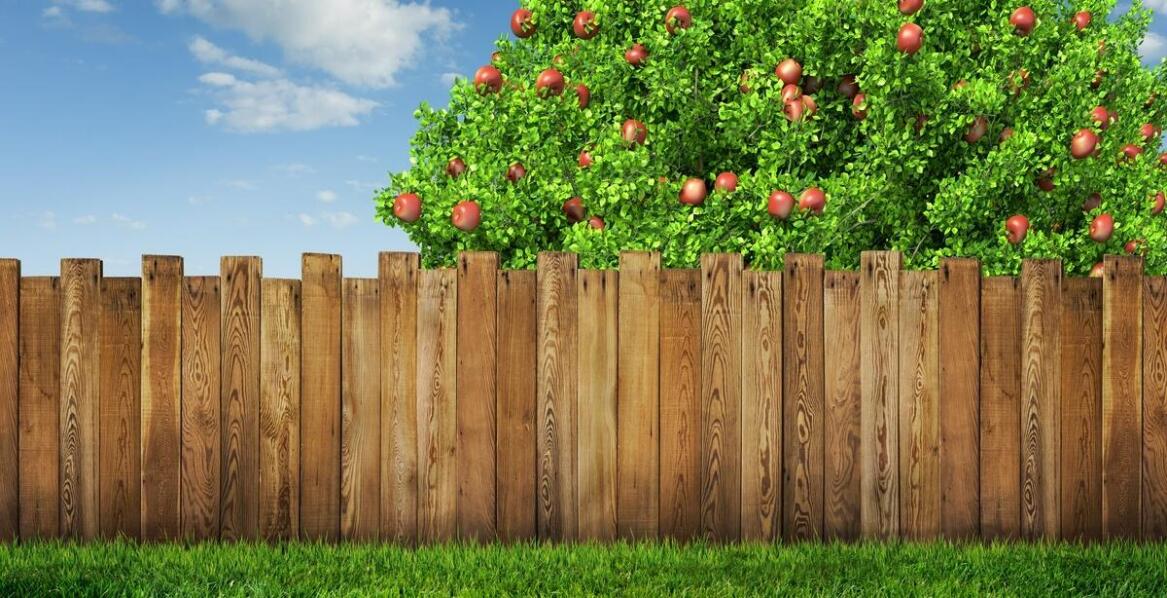 Jakie wykończenia oferuje się dla łupanych i gładkich ogrodzeń?