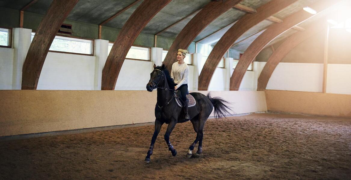 Jak często należy wymieniać podłoże na ujeżdżalni, aby zapewnić koniom bezpieczeństwo?