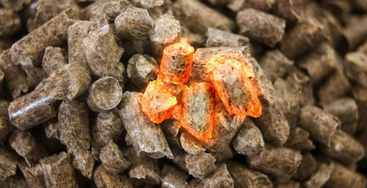 Jak ekogroszek z Knyszyna wspiera zrównoważony rozwój energetyczny?