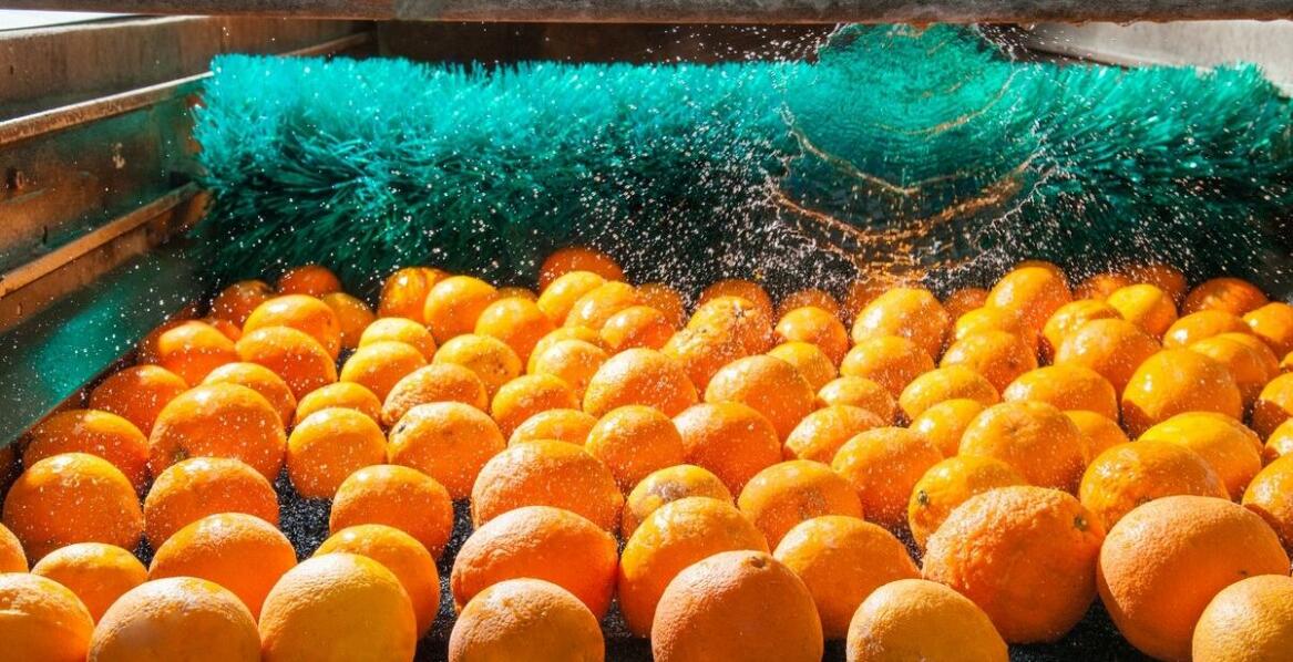 Podstawowe zasady mycia i dezynfekcji w przemyśle spożywczym