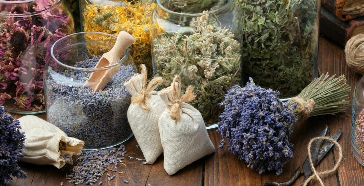 Zioła dla zdrowej skóry – co oferuje online sklep zielarski?