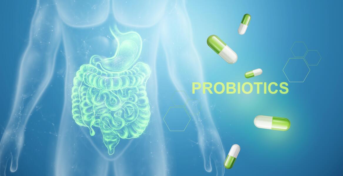 Symbiotyczne bakterie w jelicie grubym a ich wpływ na mikrobiom