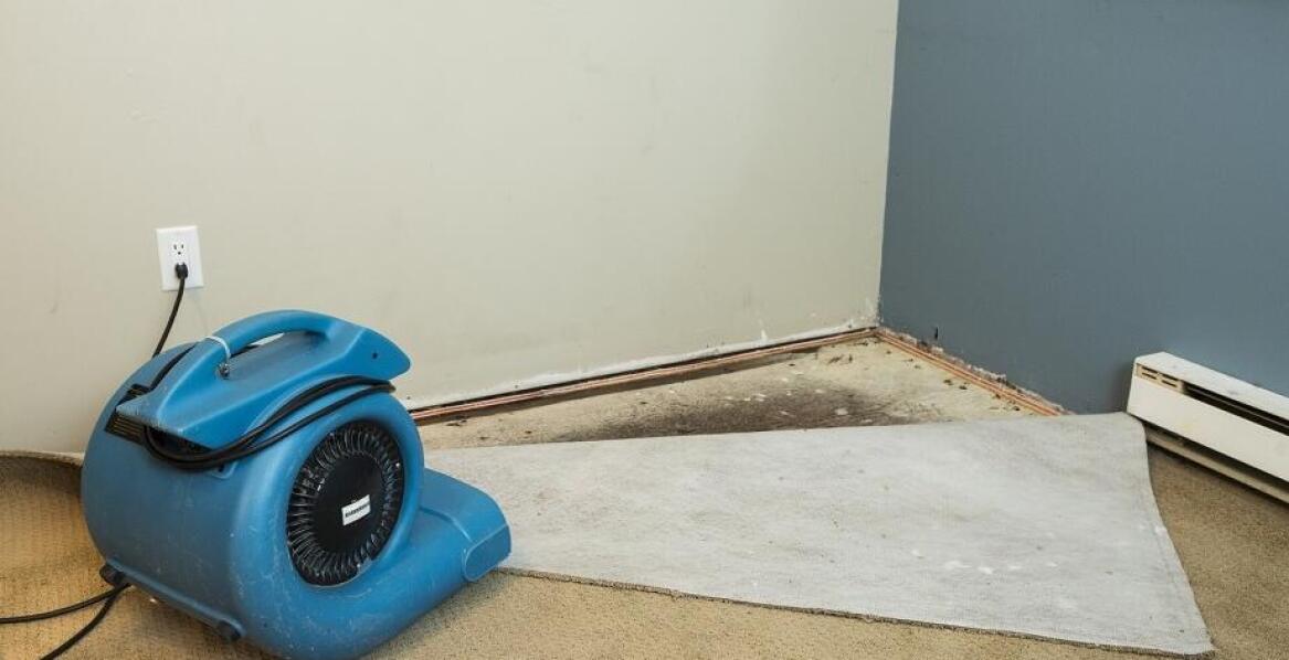 Nowoczesne metody osuszania budynków i ich zastosowania