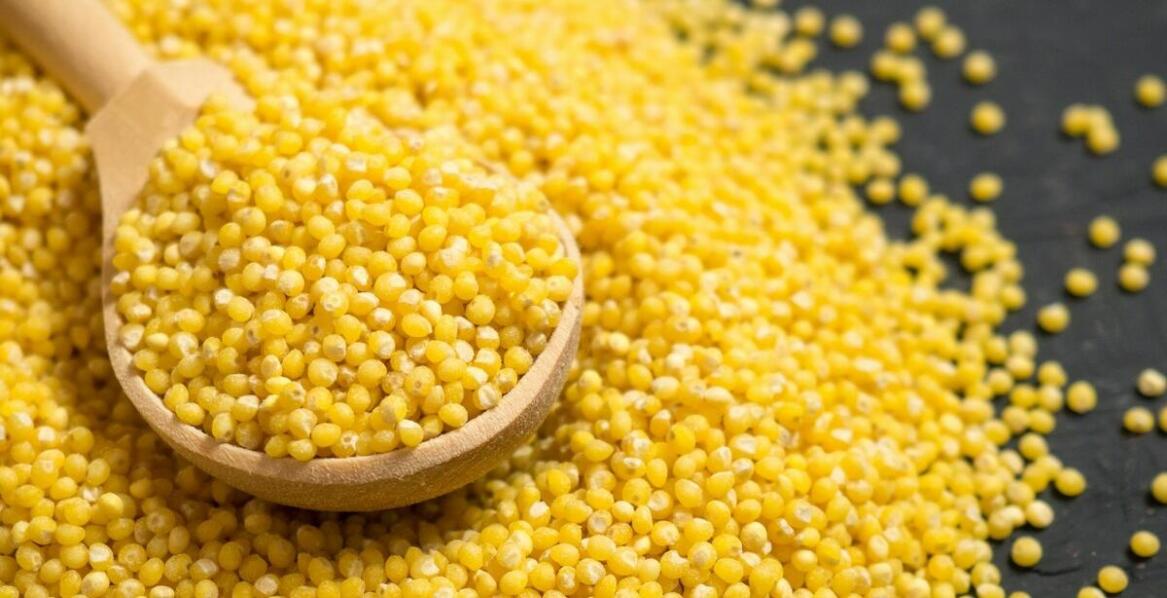 Jak bio kasza jaglana wpływa na poziom energii i witalność?