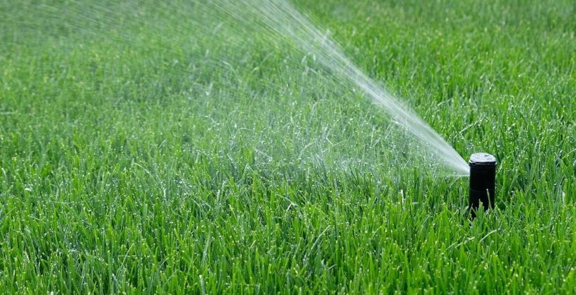 Profesjonalne usługi zakładania trawników: Jakie są najczęstsze techniki?