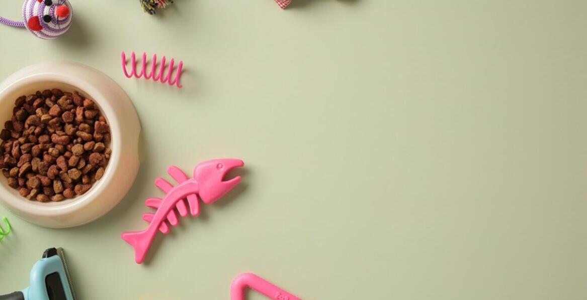 Rola nienasyconych tłuszczowych kwasów w suchych karmach dla psów