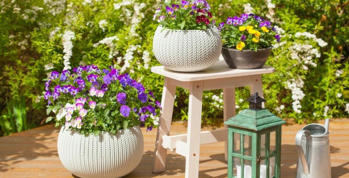 Trendy ogrodowe: druciane donice jako must-have sezonu