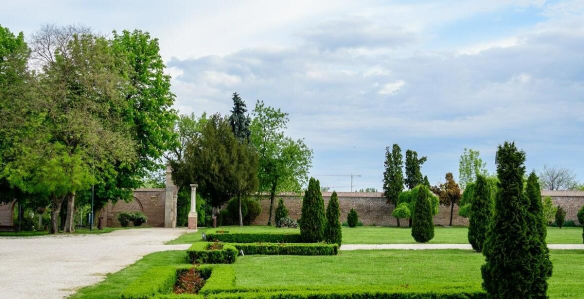 Ciekawe zastosowania w architekturze krajobrazu wierzby iwy