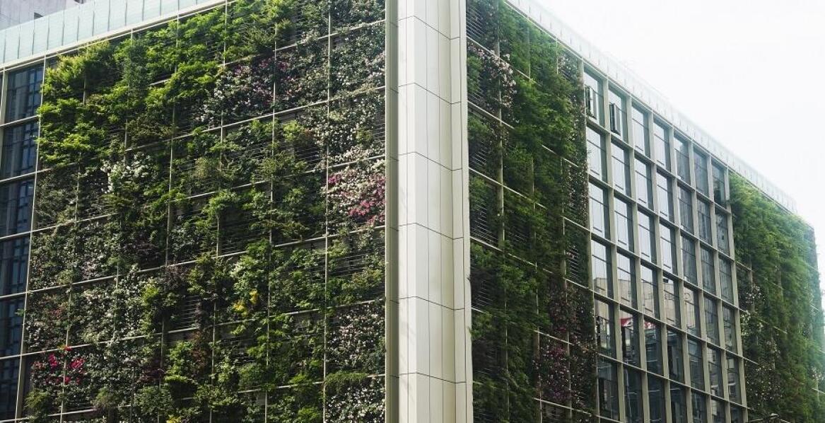 Jakie są koszty i korzyści związane z inwestycją w zielone elewacje?