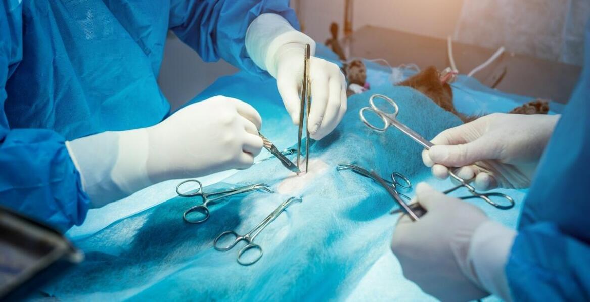 Rola chirurgii w korekcji zniekształceń kości