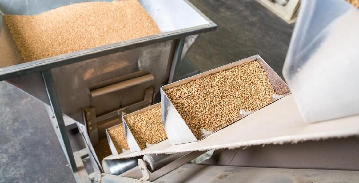 Jakie korzyści przynosi automatyzacja w kubełkowych przenośnikach?