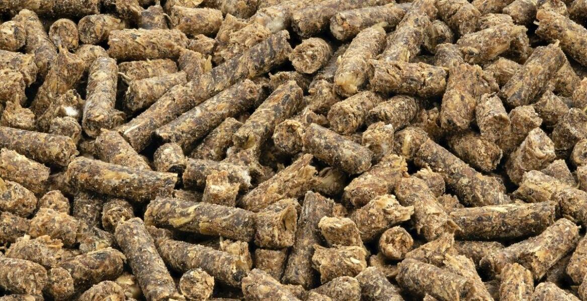 Ściółki dla koni - jakie są właściwości termoizolacyjne?