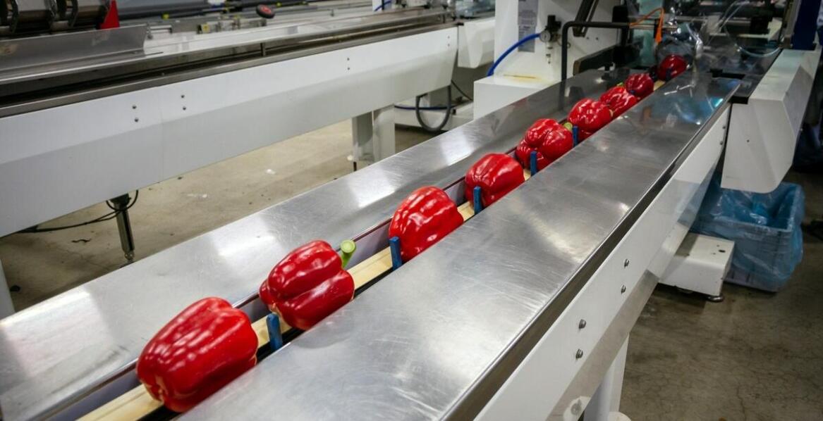 Nowoczesne maszyny do taśmowania a efektywność pakowania produktów