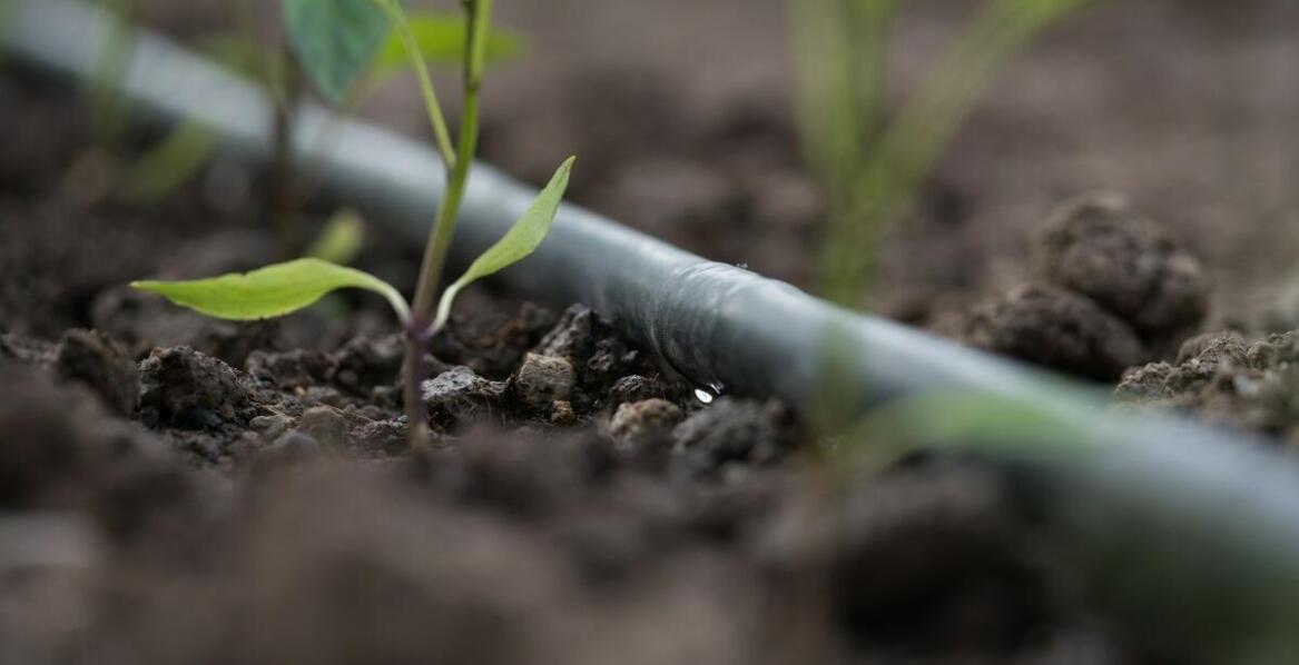 Rura do deszczowni 75 mm a nowoczesne technologie do nawadniania