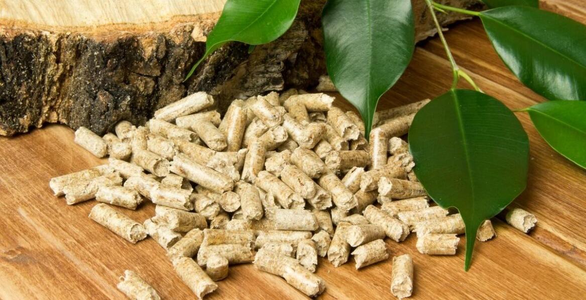 Dlaczego naturalne pellety do jedzenia to przyszłość zdrowych przekąsek?